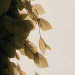 serene-leaves-mobile-wallpaper