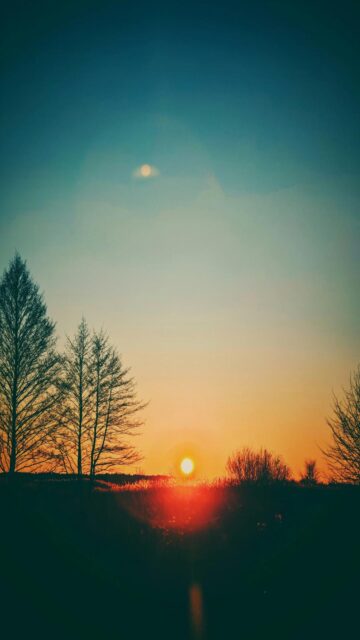 stunning-sunset-over-field-with-silhouetted-trees