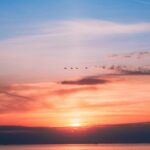 Breathtaking Ocean Sunset with Birds in Flight