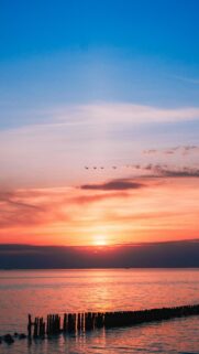 Breathtaking Ocean Sunset with Birds in Flight