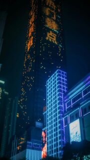 Urban Oasis at Night