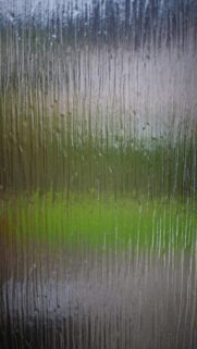 Nature-Inspired Textured Glass Wallpaper