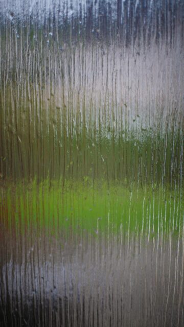Nature-Inspired Textured Glass Wallpaper