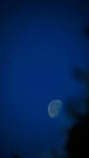 Lunar Beauty at Night