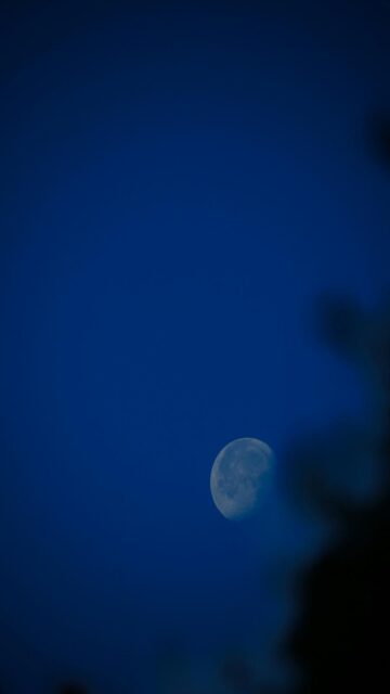Lunar Beauty at Night