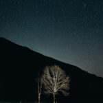 Starry Night Landscape Wallpaper