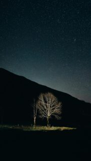 Starry Night Landscape Wallpaper