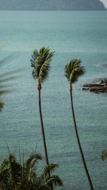 Turquoise Oasis