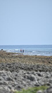Rocky Ocean View with Two Fishermen