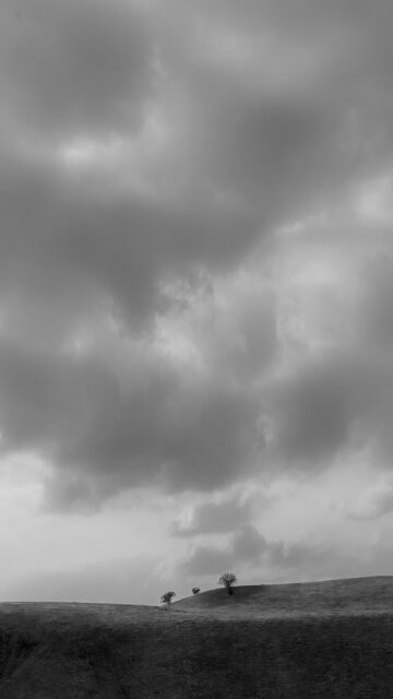 Cloudy Serenity: Two Trees on a Hill