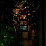 Mysterious Night View - Dark Foliage Window