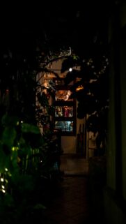 Mysterious Night View – Dark Foliage Window