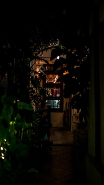Mysterious Night View - Dark Foliage Window