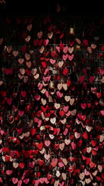 Love Lockdown - Heart Shaped Love Locks Wall