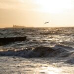 Coastal Bliss: Waves Crash On Shore with Bird Flying Overhead