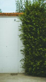 Natural Serenity: White Wall with Green Bush and Brick Trim