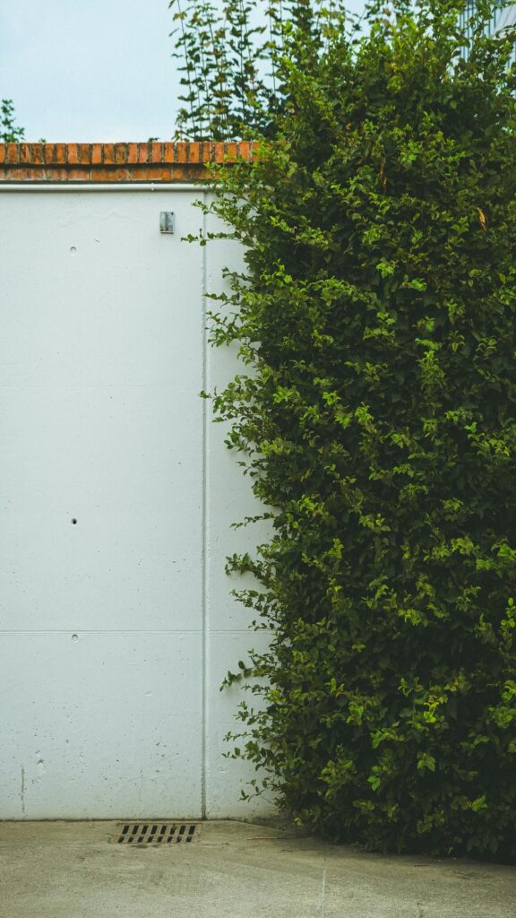 Next