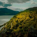 Serene Landscape: Winding Road Through Lush Green Hillside by Water
