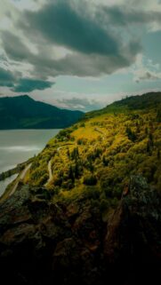 Serene Landscape: Winding Road Through Lush Green Hillside by Water