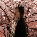 Cherry Blossom Bliss - Spring Mood