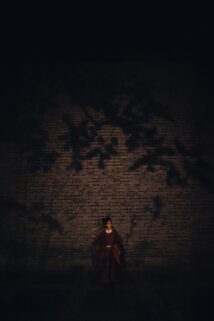 Woman In Red Dress Stands Against Brick Wall – Free 4K HD Download