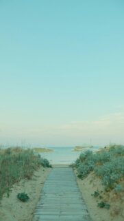 serene-beach-walk