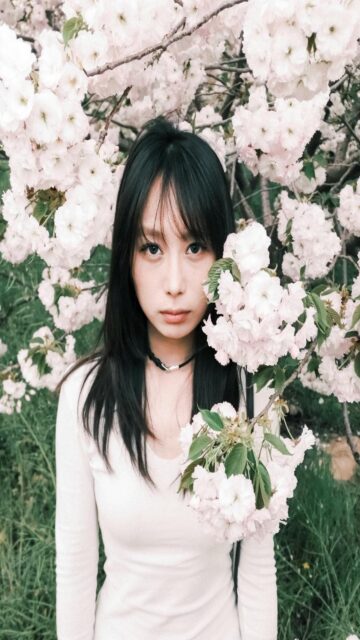 Cherry Blossom Beauty