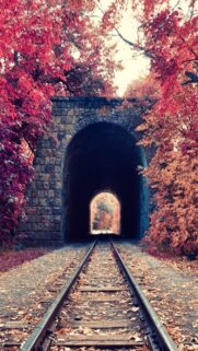 Enchanting Autumn Railway Tunnel Surrounded by Vivid Red Leaves Wallpaper