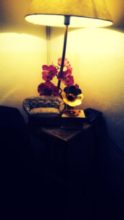 Vintage Aesthetic Gramophone and Floral Decor Warm Ambient Mobile Wallpaper