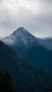 Snow Capped Mountain Peak with Misty Forest Pine Trees Mobile Wallpaper