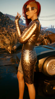 Cyberpunk Girl in Leopard Print Dress Standing in Scrapyard Wallpaper