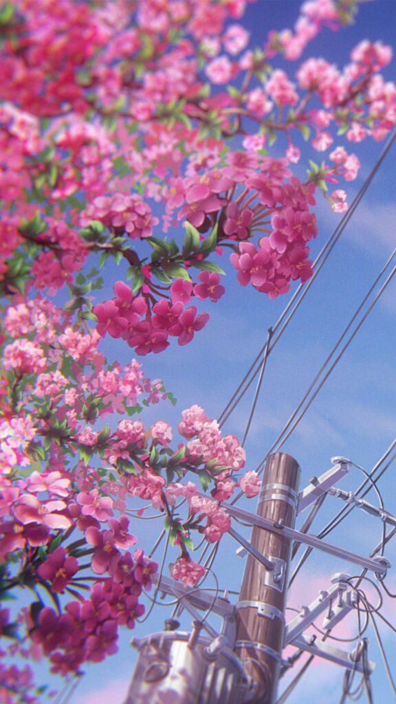 Previous