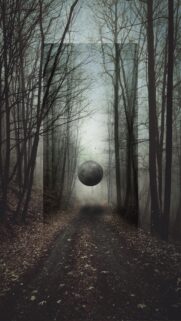 Surreal Floating Sphere in Foggy Forest Path Mobile Wallpaper