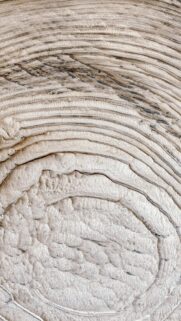 Macro Wood Grain Texture Wallpaper Featuring Organic Circular Rings and Light Beige Tones
