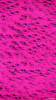 Vibrant Surreal Pink Eyes Pattern Aesthetic Mobile Wallpaper