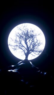 Minimalist Silhouette Tree Under Giant Full Moon Mobile Wallpaper