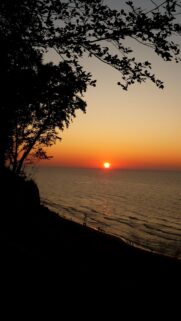 Stunning Golden Sunset Over Ocean Horizon With Tree Silhouette Mobile Wallpaper