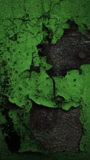 Emerald Green Damask Grunge Texture Mobile Wallpaper HD
