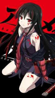 Akame from Akame ga Kill Intense Anime Girl Wallpaper for Mobile