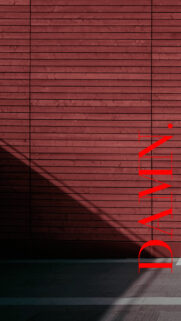 Minimalist Red DAMN Typography Wood Texture Mobile Wallpaper