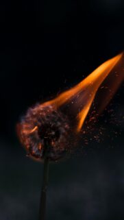 Fiery Dandelion Flower in Flames Artistic Mobile Wallpaper