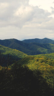 Breathtaking Mountain Forest Landscape with Lush Green Valleys and Cloudy Sky