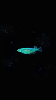 Minimalist Glowing Neon Fish in Deep Space Artistic Mobile Wallpaper
