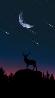 Stunning Deer Silhouette Under Crescent Moon and Shooting Stars Wallpaper