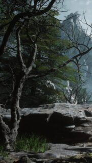 Misty Mountain Forest Landscape With Ancient Trees and Rocky Terrain 4K Wallpaper