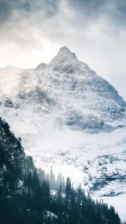 Majestic Snowy Mountain Peak with Misty Pine Forest Wallpaper for Mobile