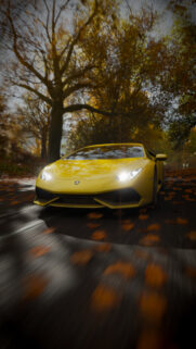 Yellow Lamborghini Huracan Driving Through Autumn Forest Wallpaper for Mobile