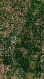 Stunning Satellite View of Earth Farmland Agriculture Geometric Patterns Mobile Wallpaper
