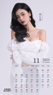 Stunning Asian Model November 2023 Calendar Mobile Wallpaper High Definition
