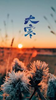 Stunning Frost Covered Plants at Sunset with Chinese Calligraphy Mobile Wallpaper